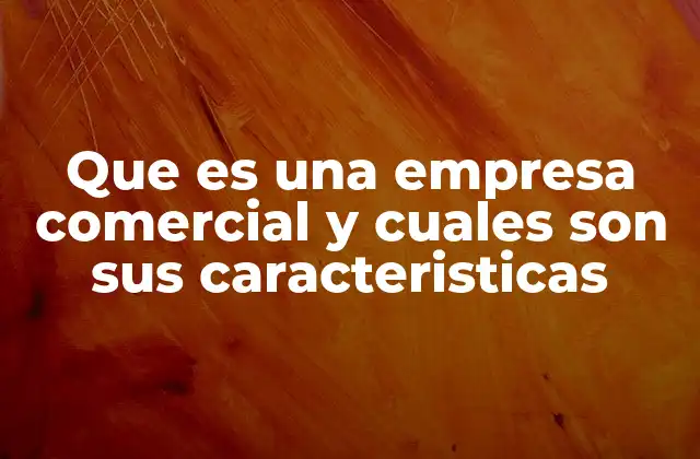Que es una Empresa Comercial y Cuales Son Sus Caracteristicas