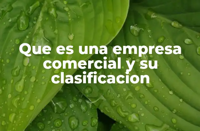 Que es una Empresa Comercial y Su Clasificacion