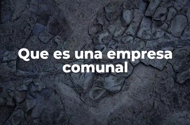 Que es una Empresa Comunal