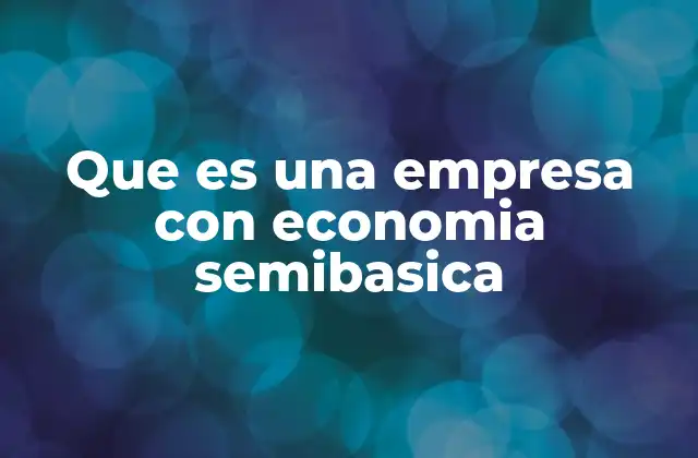Que es una Empresa con Economia Semibasica