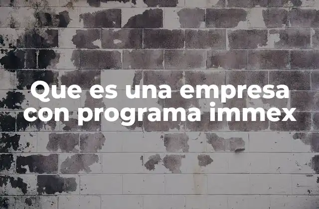 Que es una Empresa con Programa Immex