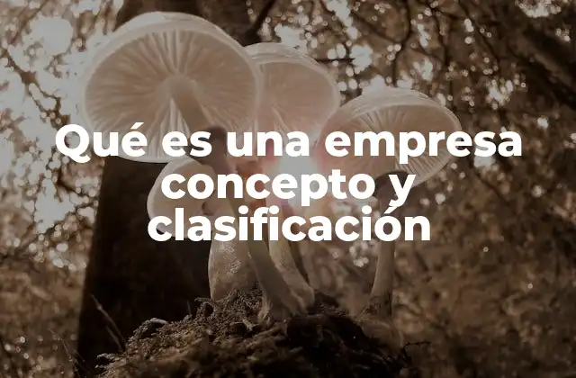 Qué es una Empresa Concepto y Clasificación