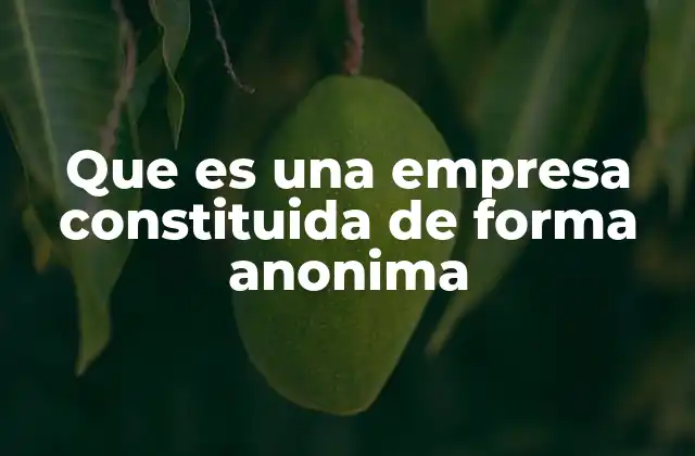 Que es una Empresa Constituida de Forma Anonima