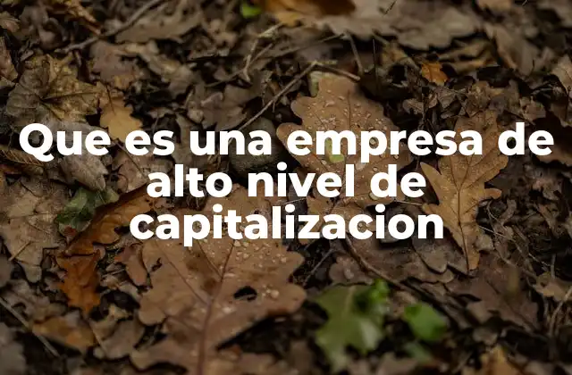 Que es una Empresa de Alto Nivel de Capitalizacion