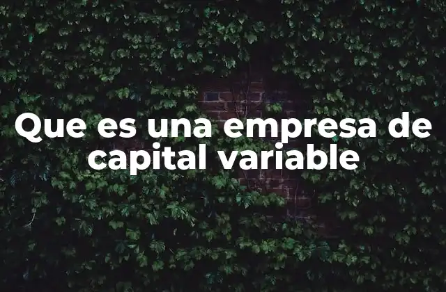 Que es una Empresa de Capital Variable 2 Características de una empresa de capital variable
