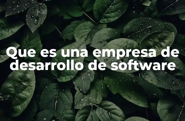 Que es una Empresa de Desarrollo de Software