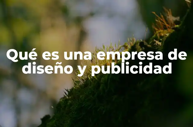 Qué es una Empresa de Diseño y Publicidad