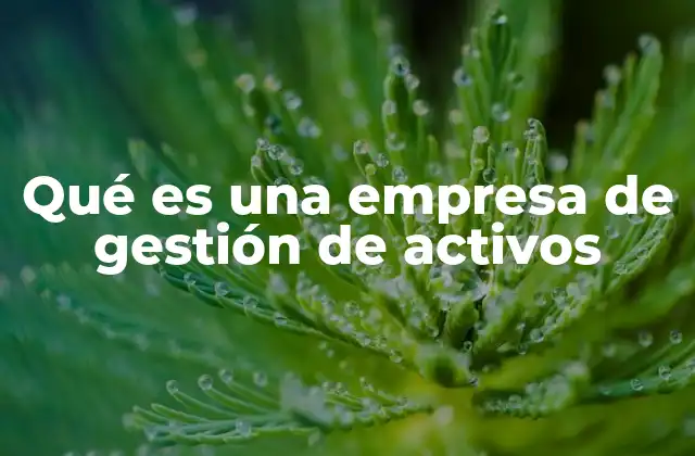 Qué es una Empresa de Gestión de Activos