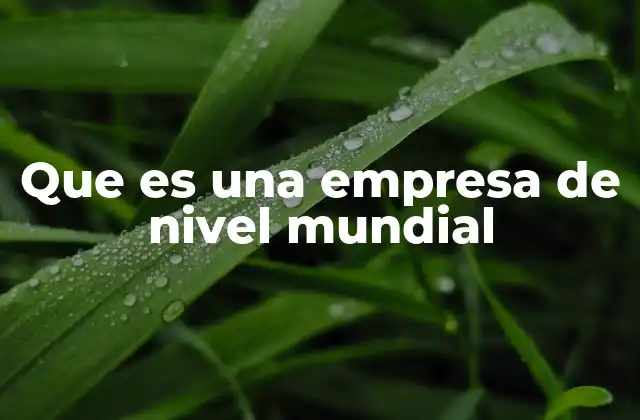Que es una Empresa de Nivel Mundial
