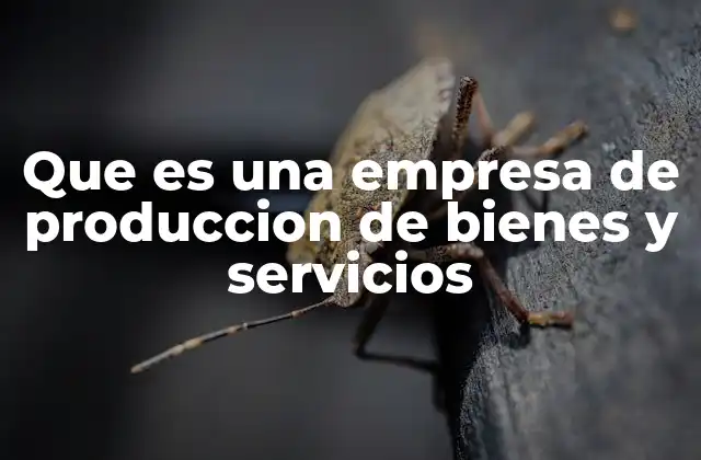 Que es una Empresa de Produccion de Bienes y Servicios