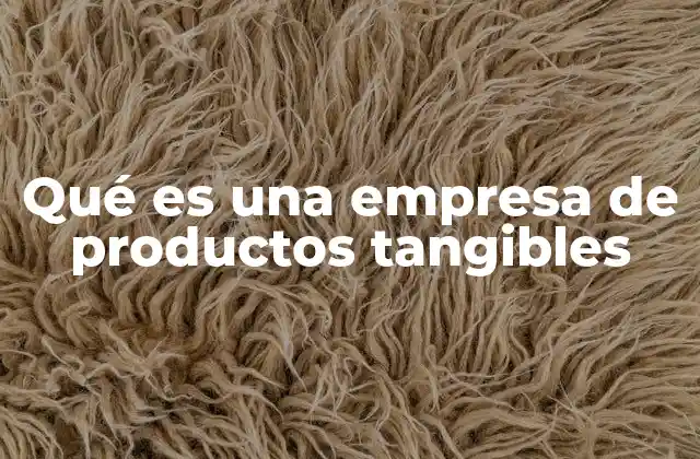 Qué es una Empresa de Productos Tangibles