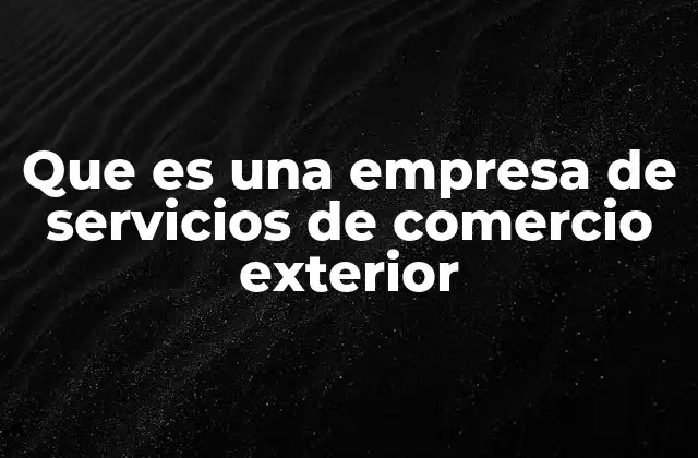 Que es una Empresa de Servicios de Comercio Exterior 2 El rol de las empresas en la logística internacional