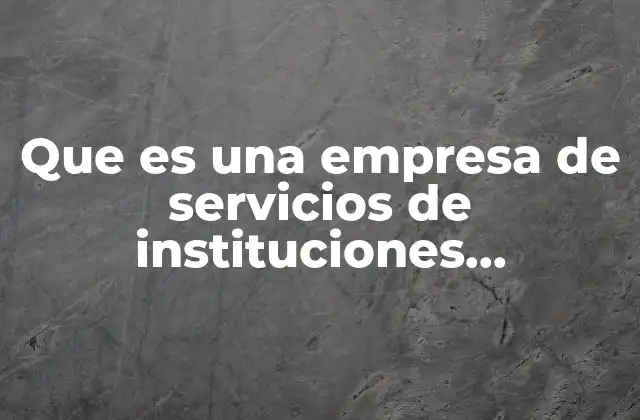 Que es una Empresa de Servicios de Instituciones Financieras 2 El rol de las empresas de apoyo en el sector financiero