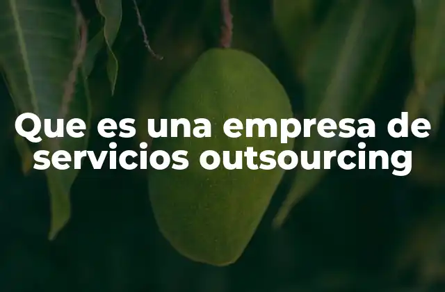 Que es una Empresa de Servicios Outsourcing