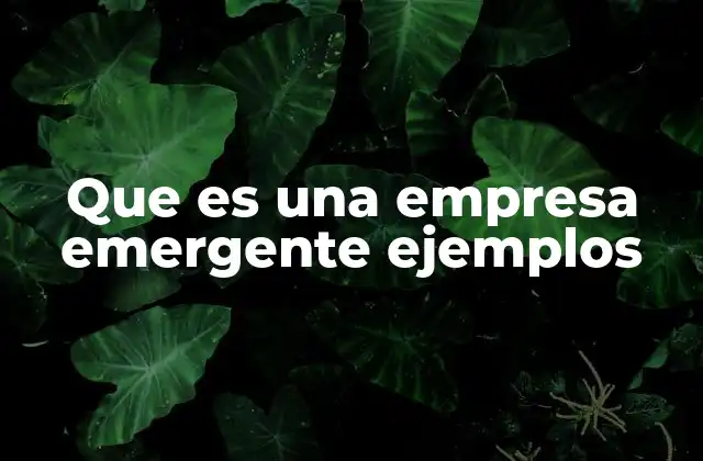 Que es una Empresa Emergente Ejemplos