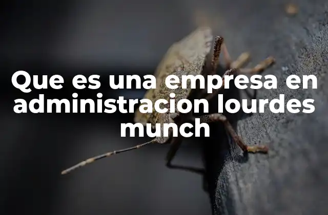 Que es una Empresa en Administracion Lourdes Munch