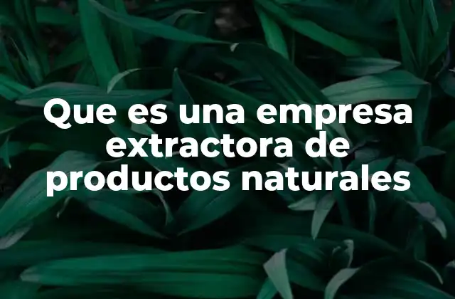 El papel de las empresas extractoras en la economía y el medio ambiente
