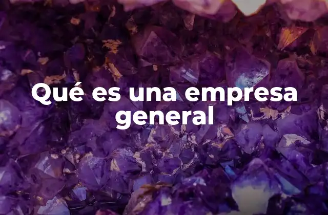 Qué es una Empresa General