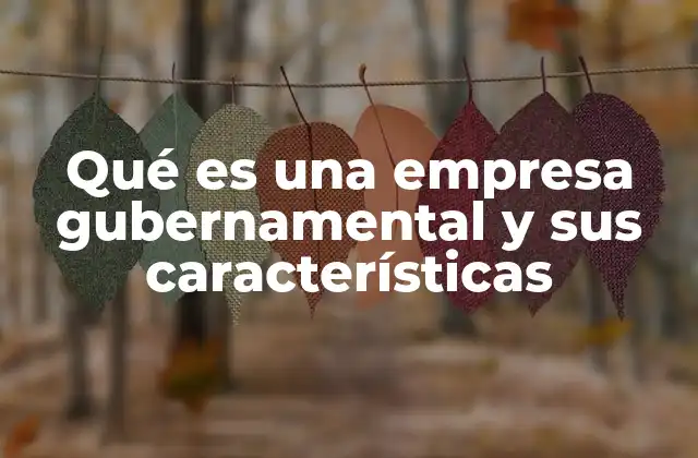 Qué es una Empresa Gubernamental y Sus Características