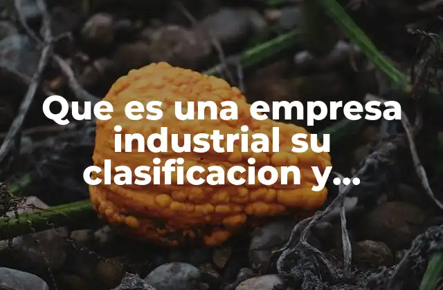 Que es una Empresa Industrial Su Clasificacion y Caracteristicas 2 Las bases del funcionamiento de las empresas industriales