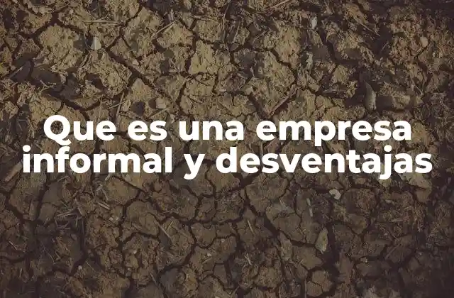 Que es una Empresa Informal y Desventajas