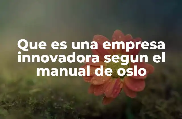 Que es una Empresa Innovadora Segun el Manual de Oslo