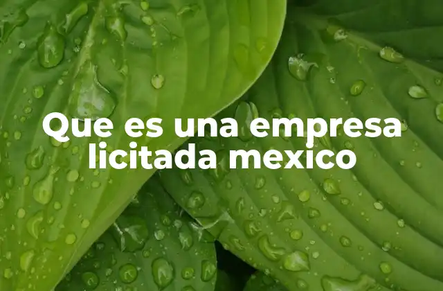 Que es una Empresa Licitada Mexico