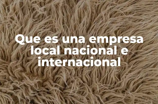 Que es una Empresa Local Nacional e Internacional
