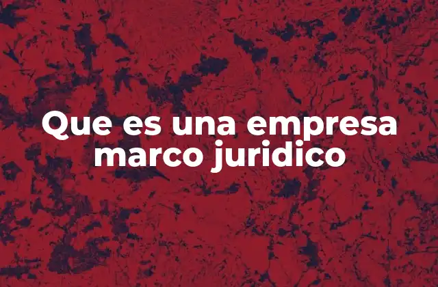 Que es una Empresa Marco Juridico