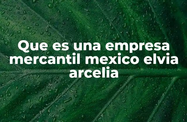Que es una Empresa Mercantil Mexico Elvia Arcelia