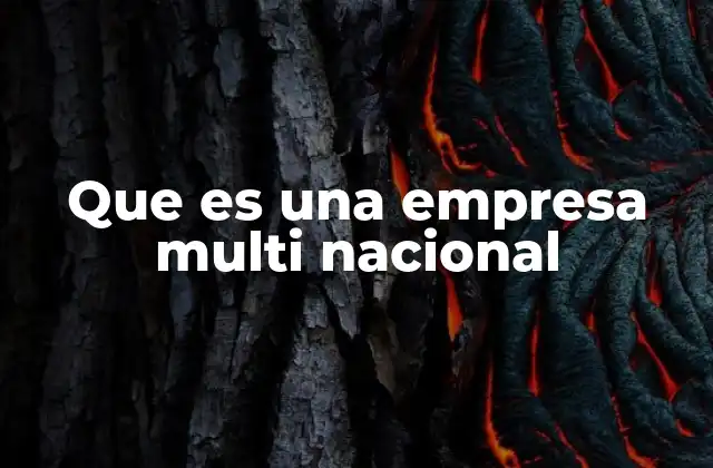 Que es una Empresa Multi Nacional