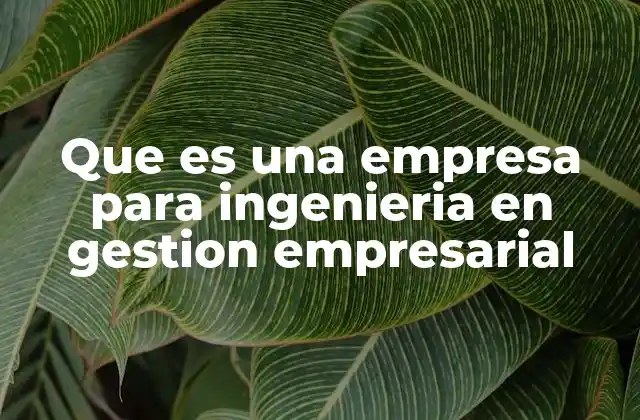Que es una Empresa para Ingenieria en Gestion Empresarial