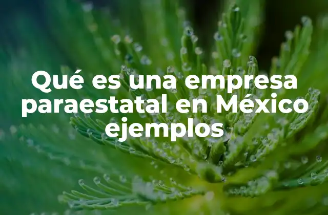 Qué es una Empresa Paraestatal en México Ejemplos