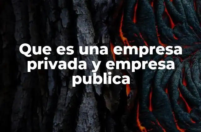 Que es una Empresa Privada y Empresa Publica