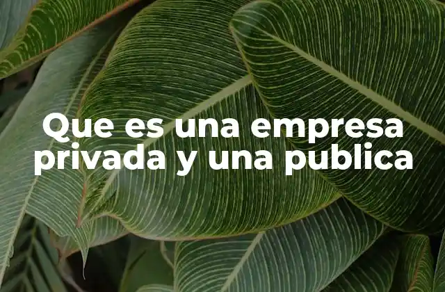 Que es una Empresa Privada y una Publica