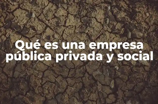 Qué es una Empresa Pública Privada y Social