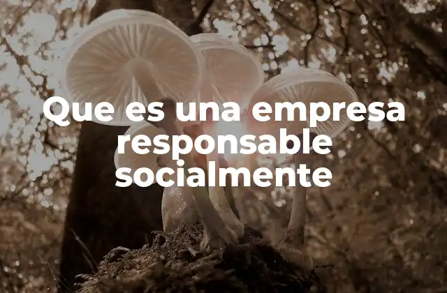 Que es una Empresa Responsable Socialmente
