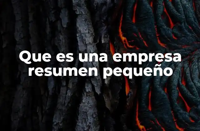 Que es una Empresa Resumen Pequeño