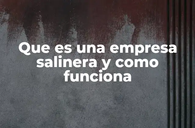 Que es una Empresa Salinera y como Funciona