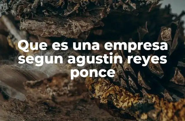 Que es una Empresa Segun Agustin Reyes Ponce