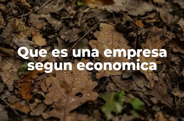 Que es una Empresa Segun Economica