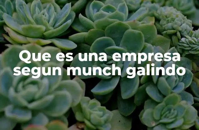 Que es una Empresa Segun Munch Galindo 2 La empresa como organización productiva y social