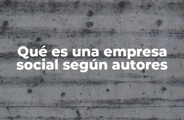 Qué es una Empresa Social según Autores 2 El enfoque de los autores sobre la empresa social como solución a desafíos globales