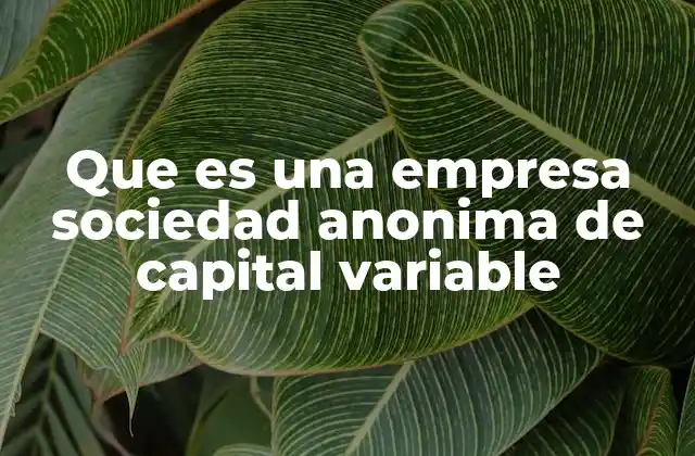 Que es una Empresa Sociedad Anonima de Capital Variable 2 Características distintivas de la sociedad anónima de capital variable