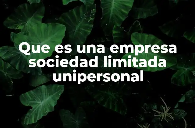 Que es una Empresa Sociedad Limitada Unipersonal