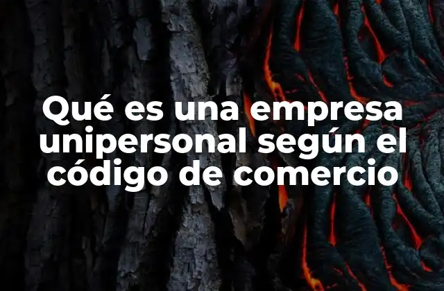 Características de la empresa unipersonal
