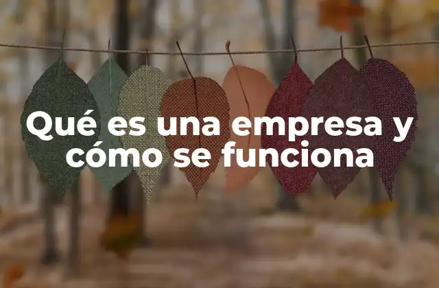 Qué es una Empresa y Cómo Se Funciona