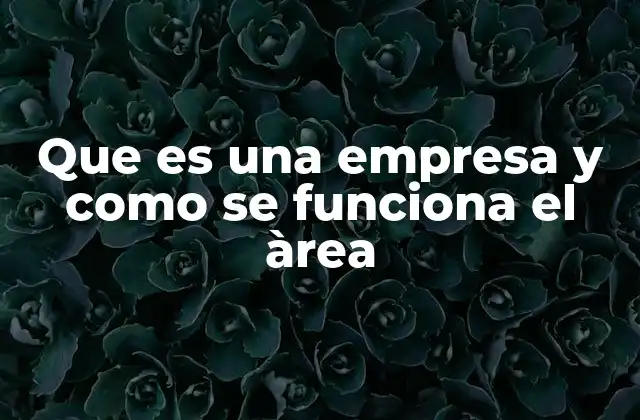 Que es una Empresa y como Se Funciona el Àrea