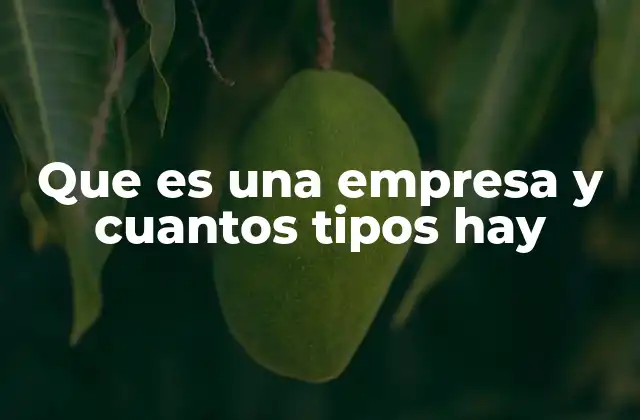 Que es una Empresa y Cuantos Tipos Hay