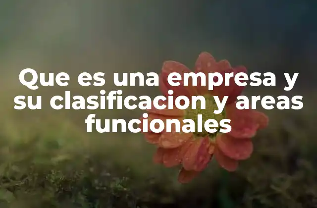 Que es una Empresa y Su Clasificacion y Areas Funcionales